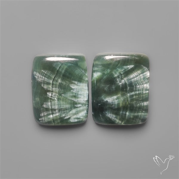 Seraphinites Pair