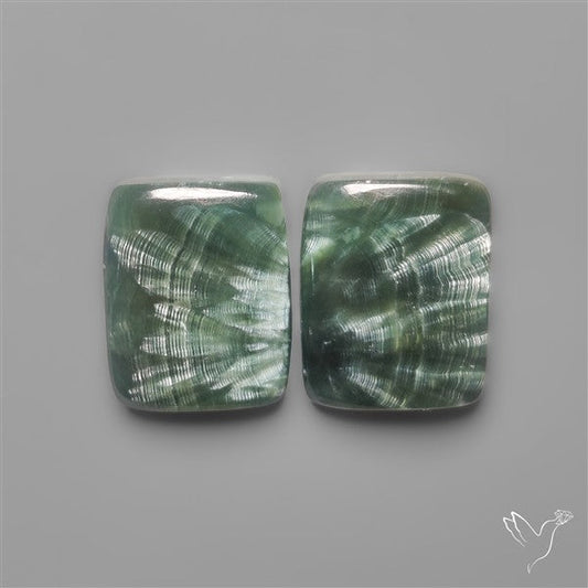 Seraphinites Pair