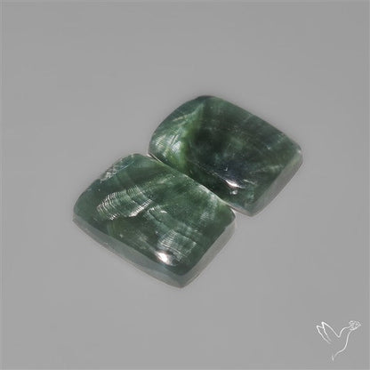 Seraphinites Pair