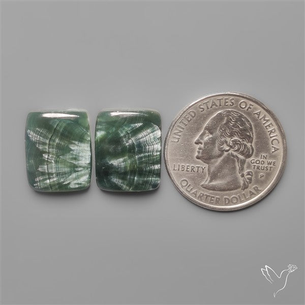 Seraphinites Pair