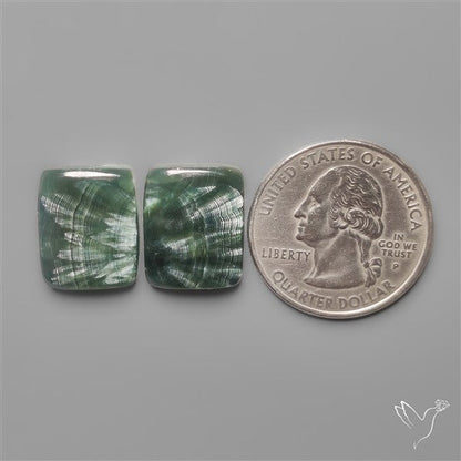 Seraphinites Pair