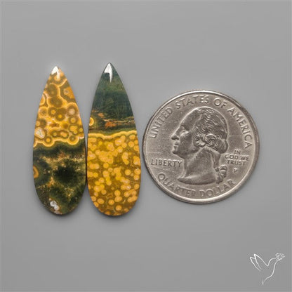 Orbicular Ocean Jaspers Pair