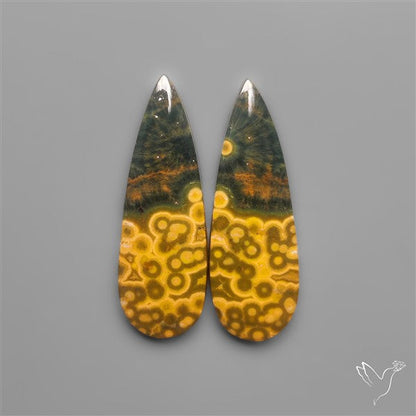 Orbicular Ocean Jaspers Pair