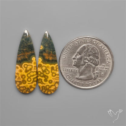 Orbicular Ocean Jaspers Pair