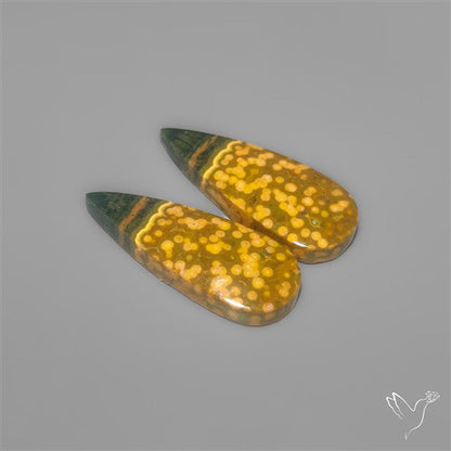 Orbicular Ocean Jaspers Pair