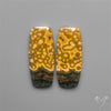 Orbicular Ocean Jaspers Pair