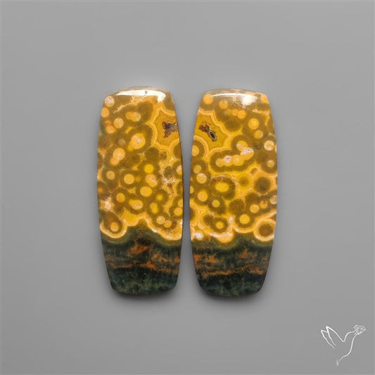 Orbicular Ocean Jaspers Pair