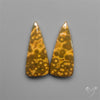 Orbicular Ocean Jaspers Pair