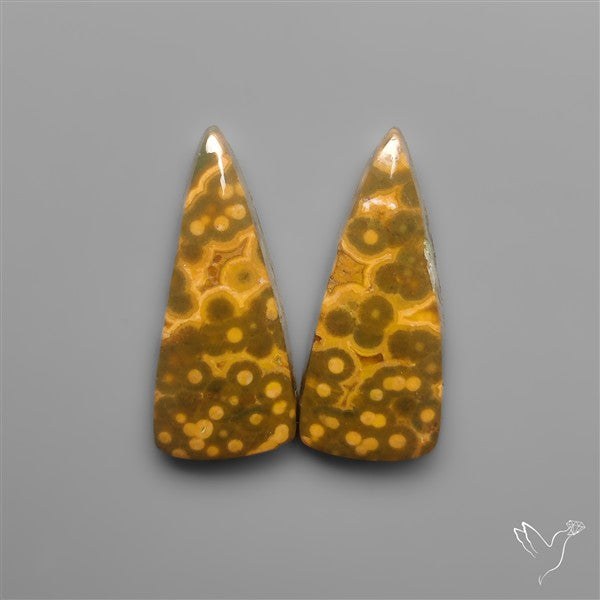 Orbicular Ocean Jaspers Pair
