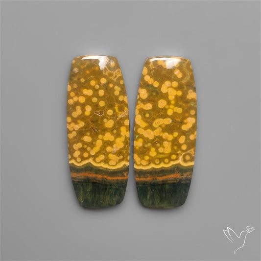 Orbicular Ocean Jaspers Pair