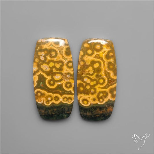 Orbicular Ocean Jaspers Pair