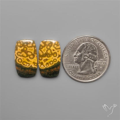 Orbicular Ocean Jaspers Pair