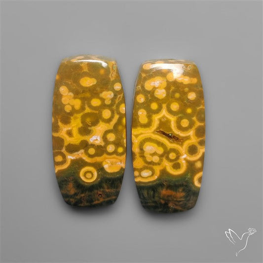 Orbicular Ocean Jaspers Pair
