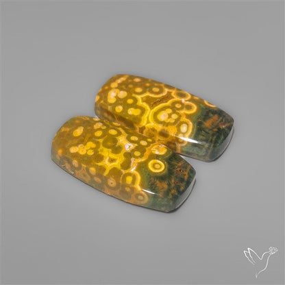 Orbicular Ocean Jaspers Pair