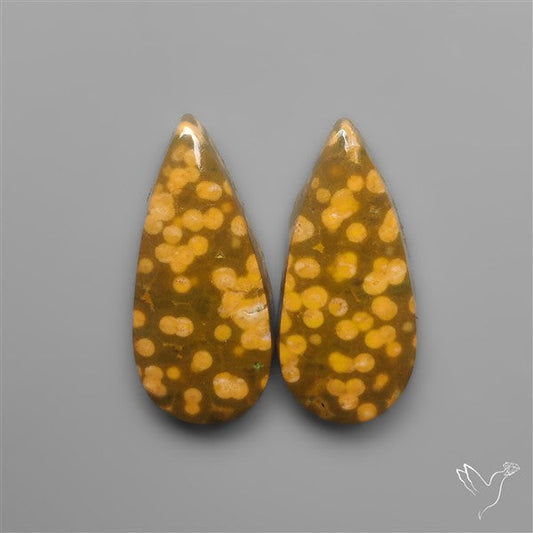 Orbicular Ocean Jaspers Pair