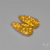 Orbicular Ocean Jaspers Pair