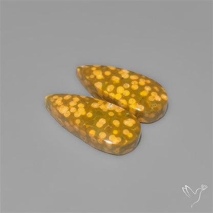 Orbicular Ocean Jaspers Pair