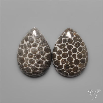 Stingray Black Fossil Corals Pair