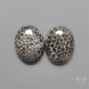Stingray Black Fossil Corals Pair