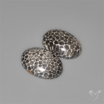Stingray Black Fossil Corals Pair