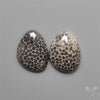 Stingray Black Fossil Corals Pair