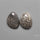 Stingray Black Fossil Corals Pair