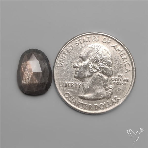 Rose Cut Black Sunstone