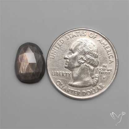 Rose Cut Black Sunstone