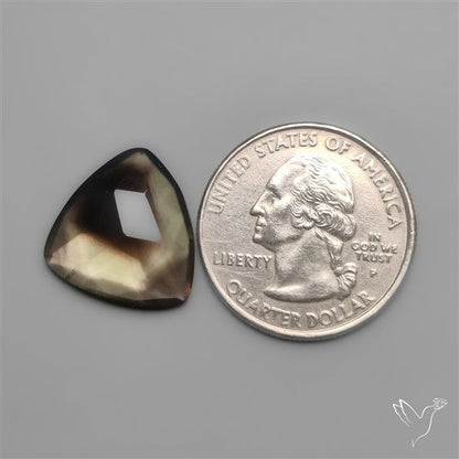 Rose Cut Smoky Phantom Lemon Quartz