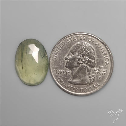 Rose Cut Black Tourmalinated Prehnite