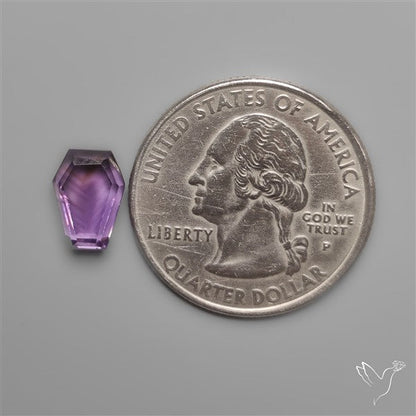 Step Cut Amethyst Coffin Carving