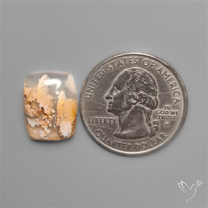 Northridge Plume Agate