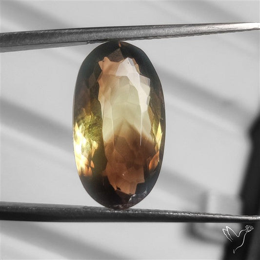 Faceted Rare Phantom Bicolor Lemon Smoky Quartz