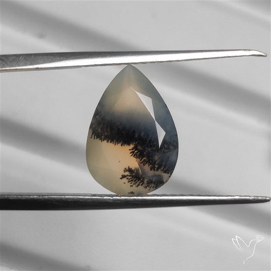 Faceted Dendritic Opal