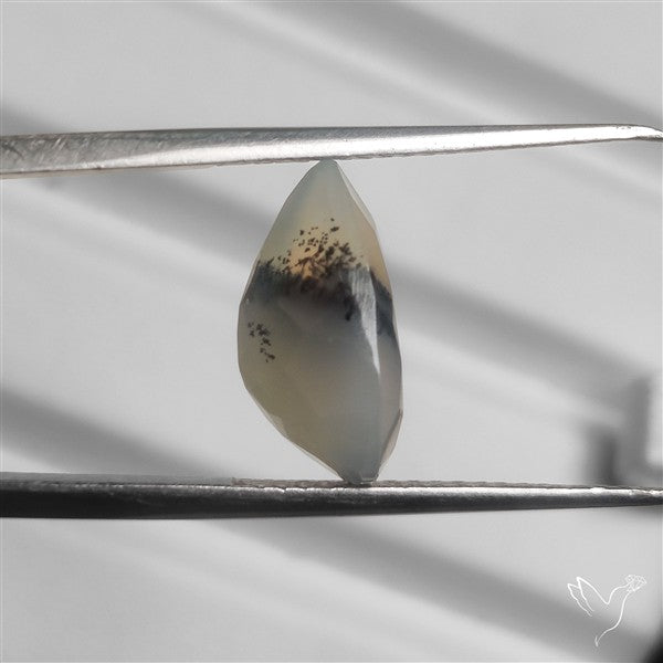 Faceted Dendritic Opal