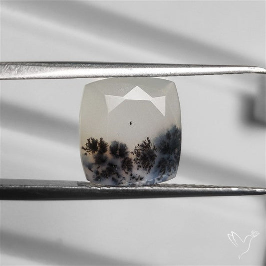 Faceted Dendritic Opal