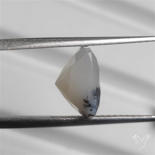 Faceted Dendritic Opal