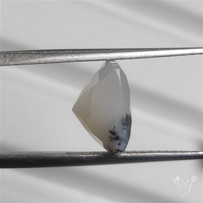 Faceted Dendritic Opal