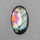 Rainbow Spectrolite Cabochon from Finland