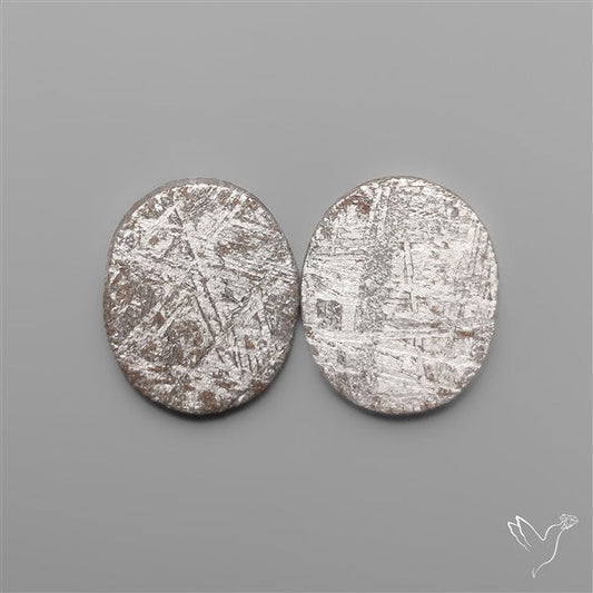 Rare Gibeon Meteorites Pair