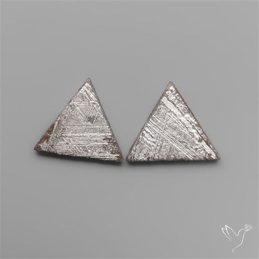 Rare Gibeon Meteorites Pair