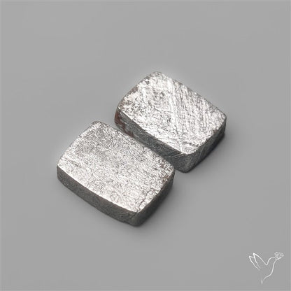 Rare Gibeon Meteorites Pair