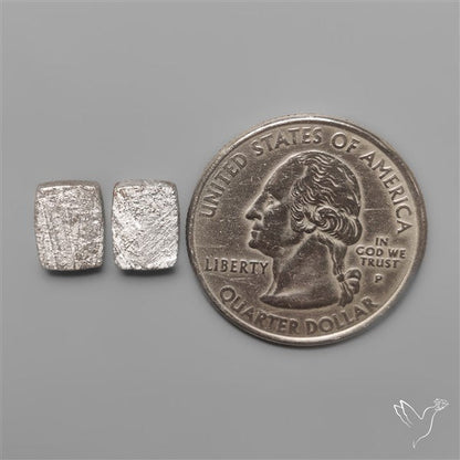 Rare Gibeon Meteorites Pair