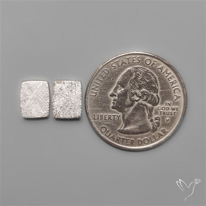 Rare Gibeon Meteorites Pair
