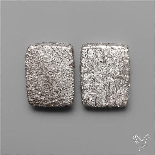 Rare Gibeon Meteorites Pair