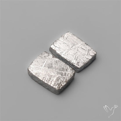 Rare Gibeon Meteorites Pair