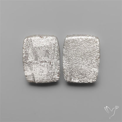 Rare Gibeon Meteorites Pair