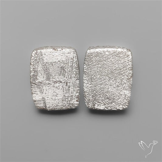 Rare Gibeon Meteorites Pair