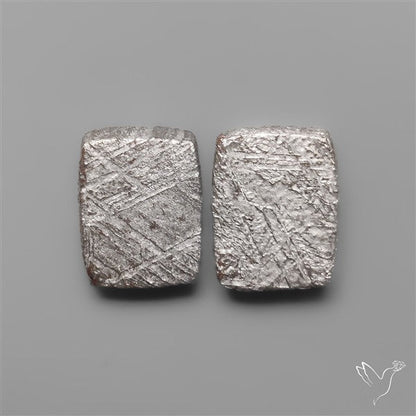 Rare Gibeon Meteorites Pair