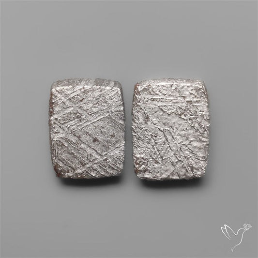 Rare Gibeon Meteorites Pair